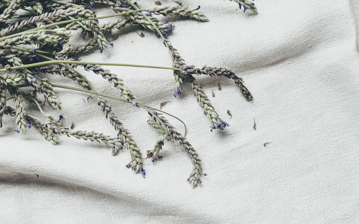 Aromatherapy-for-Sleep-Best-Scents-to-Enhance-Your-Rest Myza
