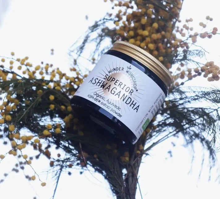 Ashwagandha-the-Ayurvedic-herb-for-a-better-night-s-sleep. Myza