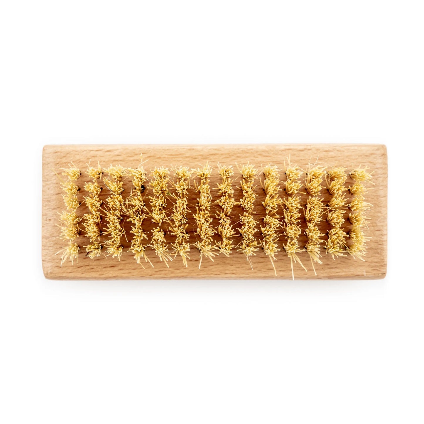 Biodegradable Natural Bristle Nail Brush Wild And Stone