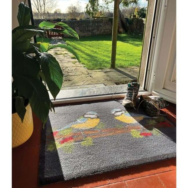 Eco-Friendly Washable Home and Animal Mat – 65X85 cm The Rugs