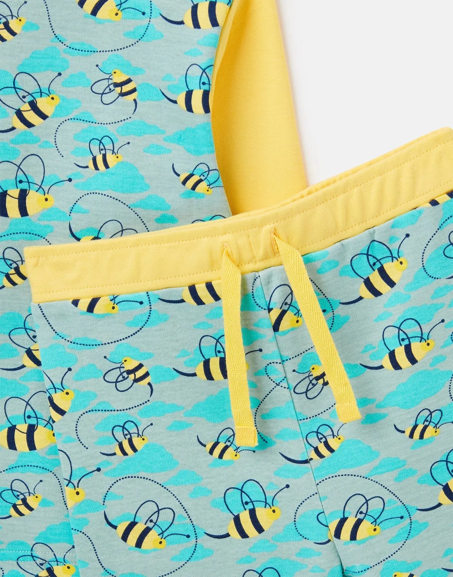 Busy Bees Boys Jersey Pyjamas Luca and Rosa