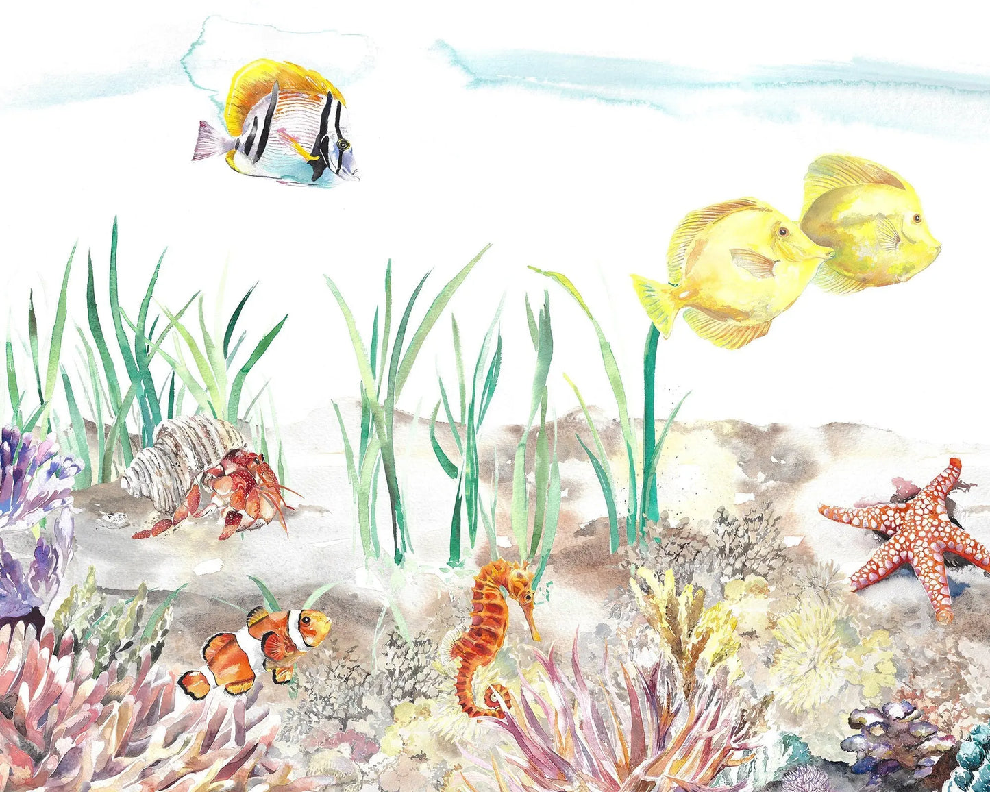 Coral Reef Underwater Mural Wallpaper Katie Hipwell Design