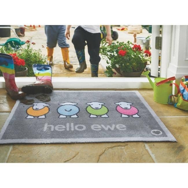 Eco-Friendly Washable Home and Animal Mat – 65X85 cm The Rugs