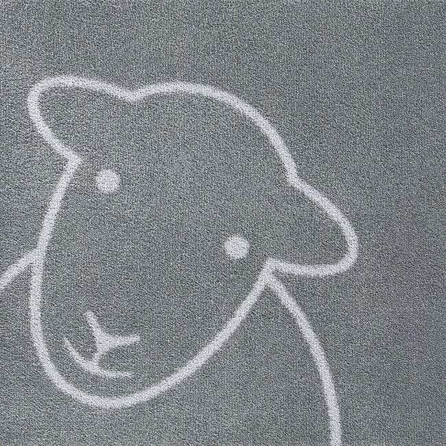 Eco-Friendly Washable Home and Animal Mat – 65X85 cm The Rugs