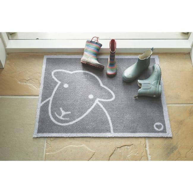 Eco-Friendly Washable Home and Animal Mat – 65X85 cm The Rugs