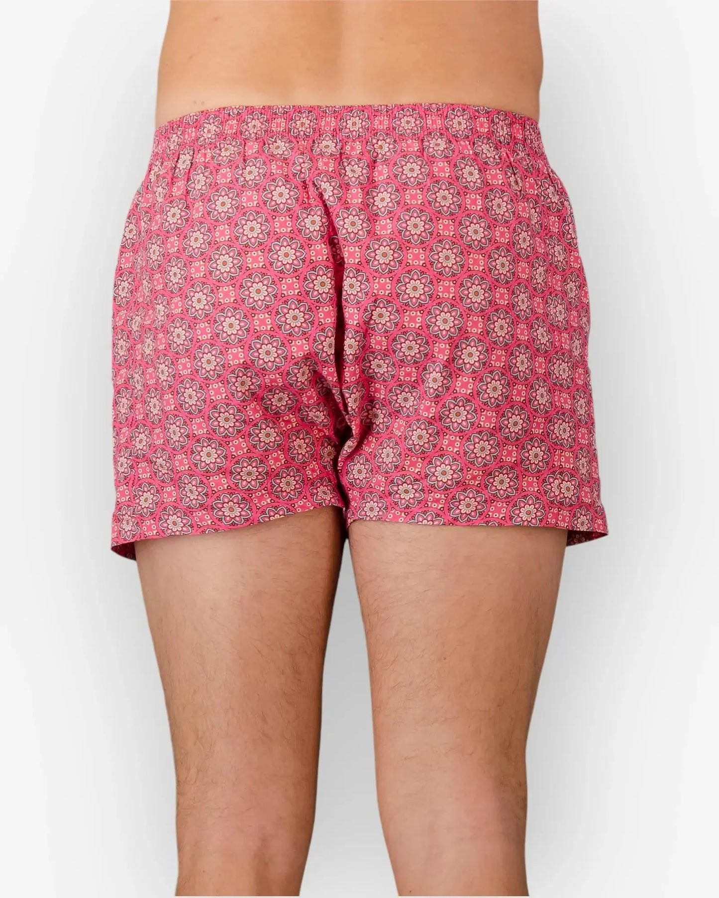Mens Boxer Shorts - Central Park Woodstock Laundry