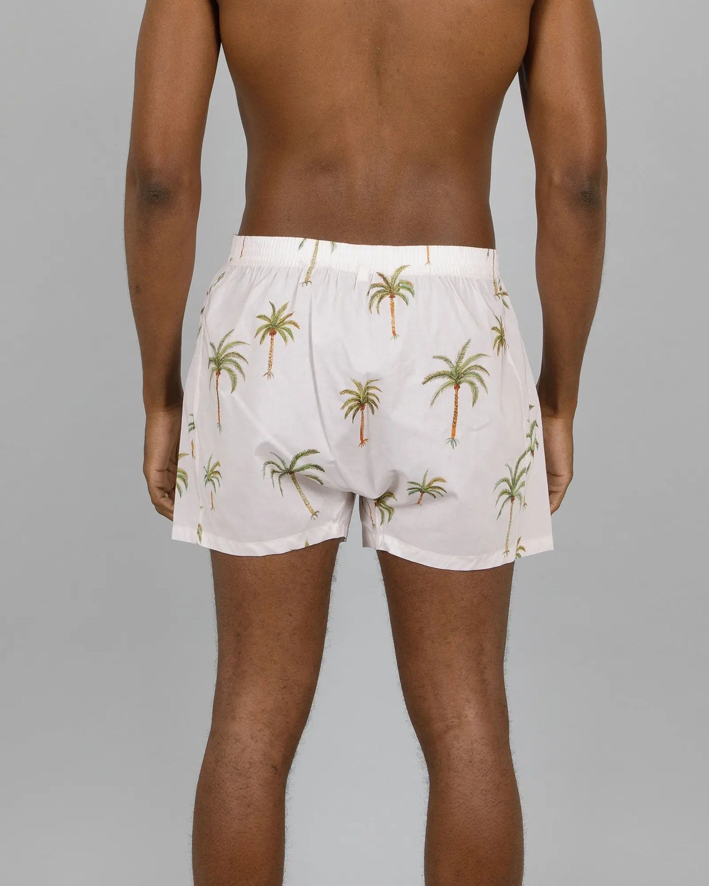 Mens Boxer Shorts - Palm Beach Woodstock Laundry