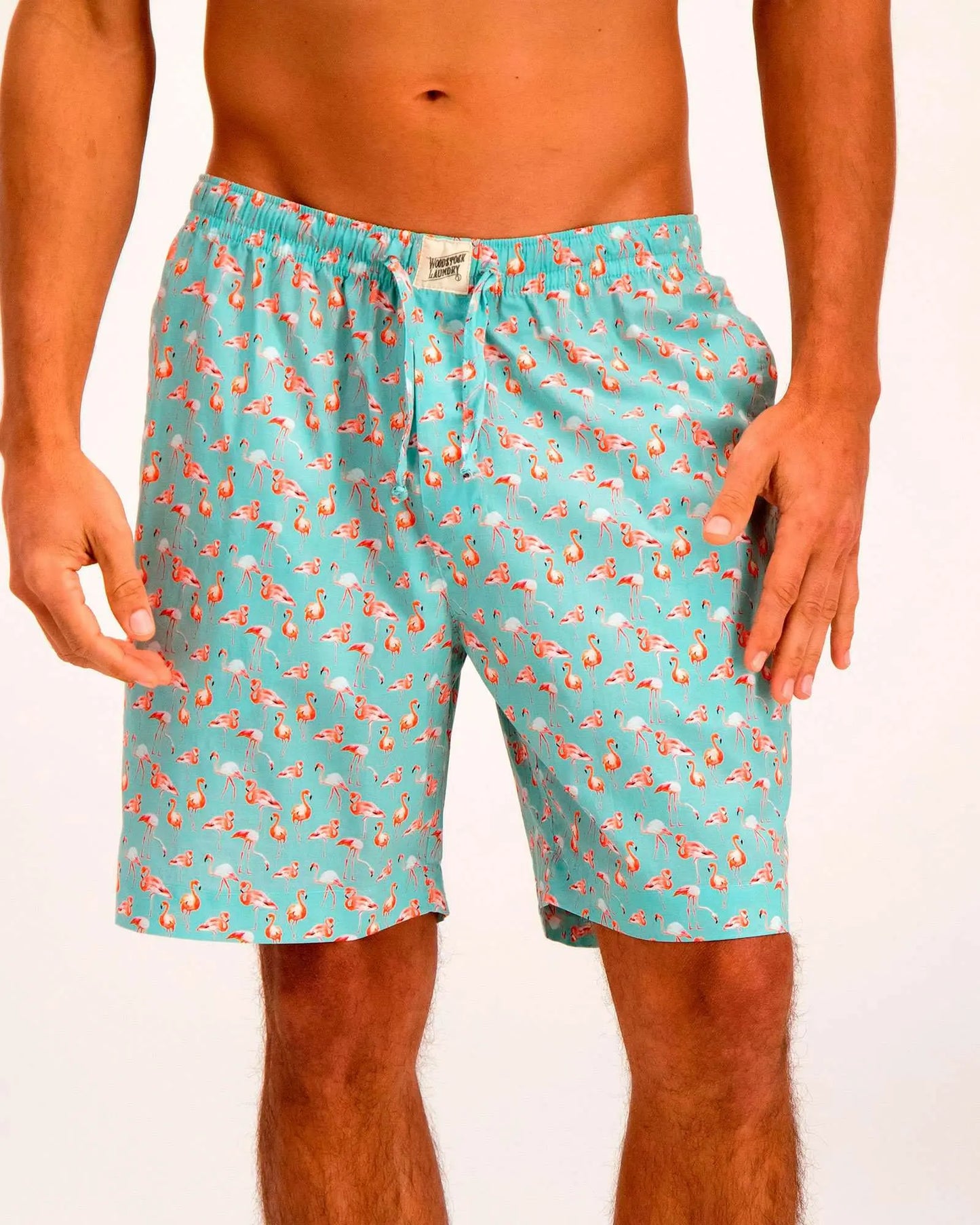Mens Lounge Shorts - Blue Flamingos Woodstock Laundry