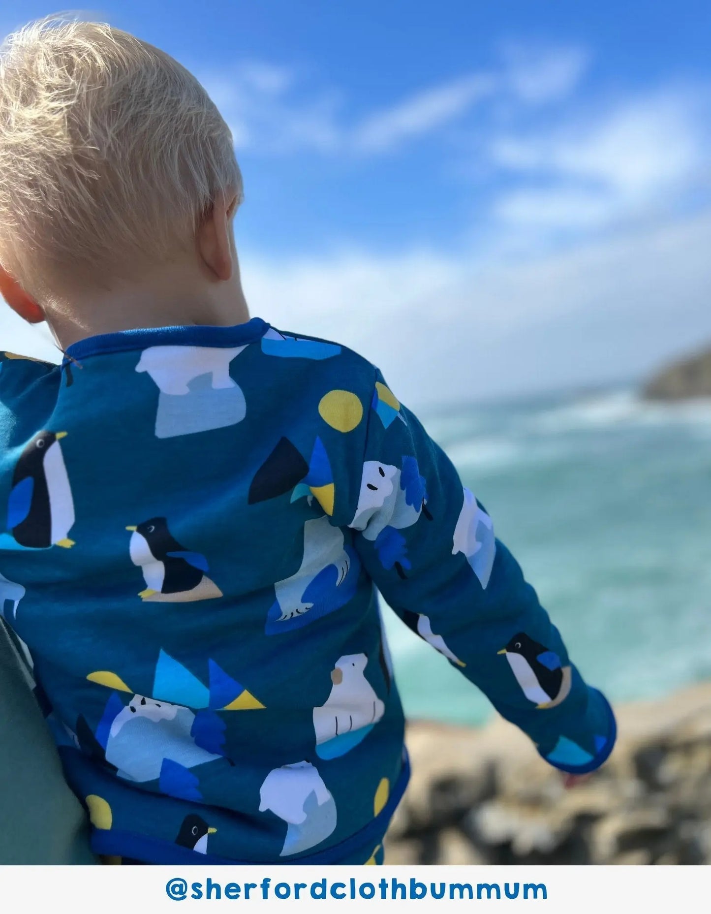 Organic Arctic Print Reversible Jacket Toby Tiger