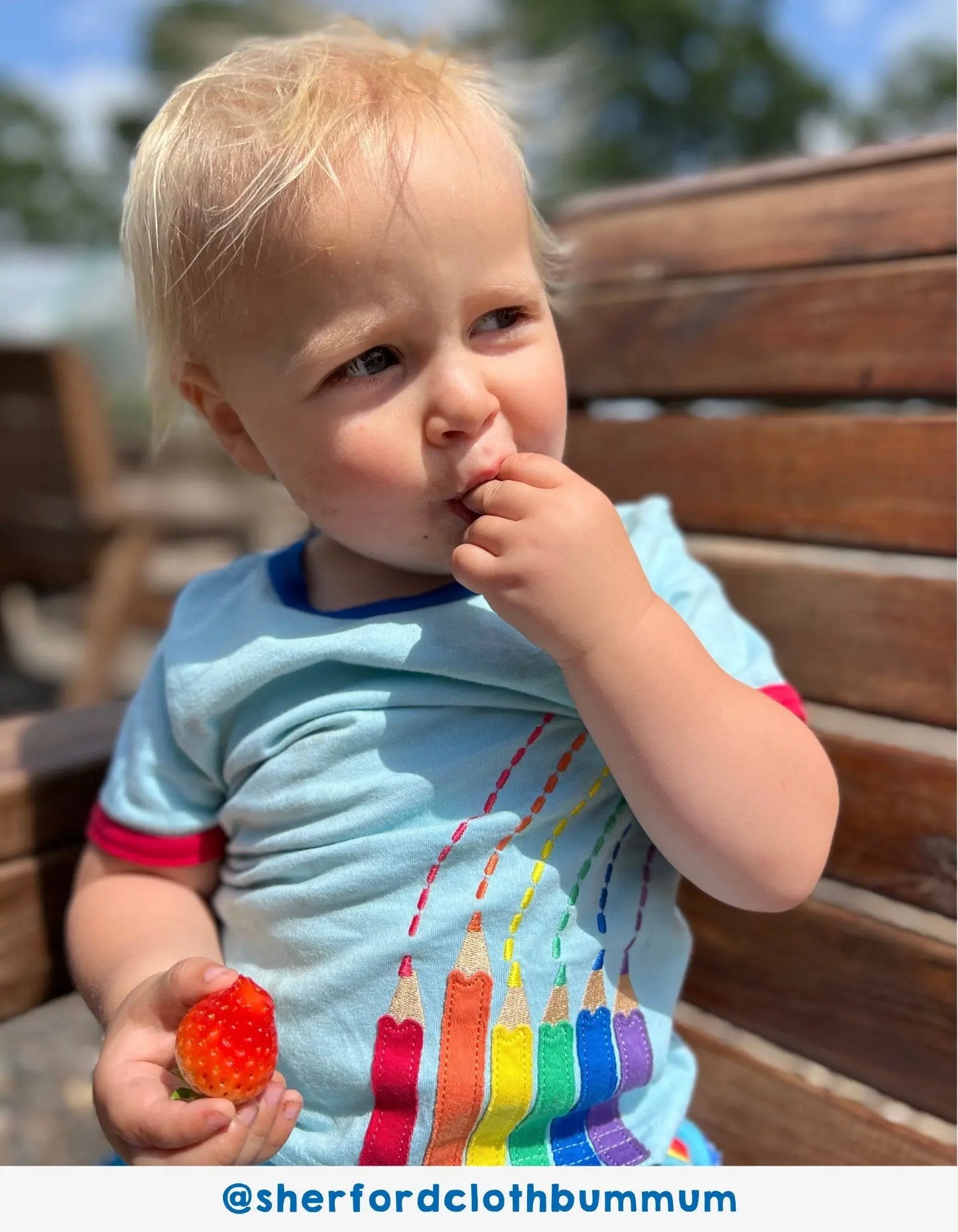 Organic Art Applique Short-Sleeved T-Shirt Toby Tiger