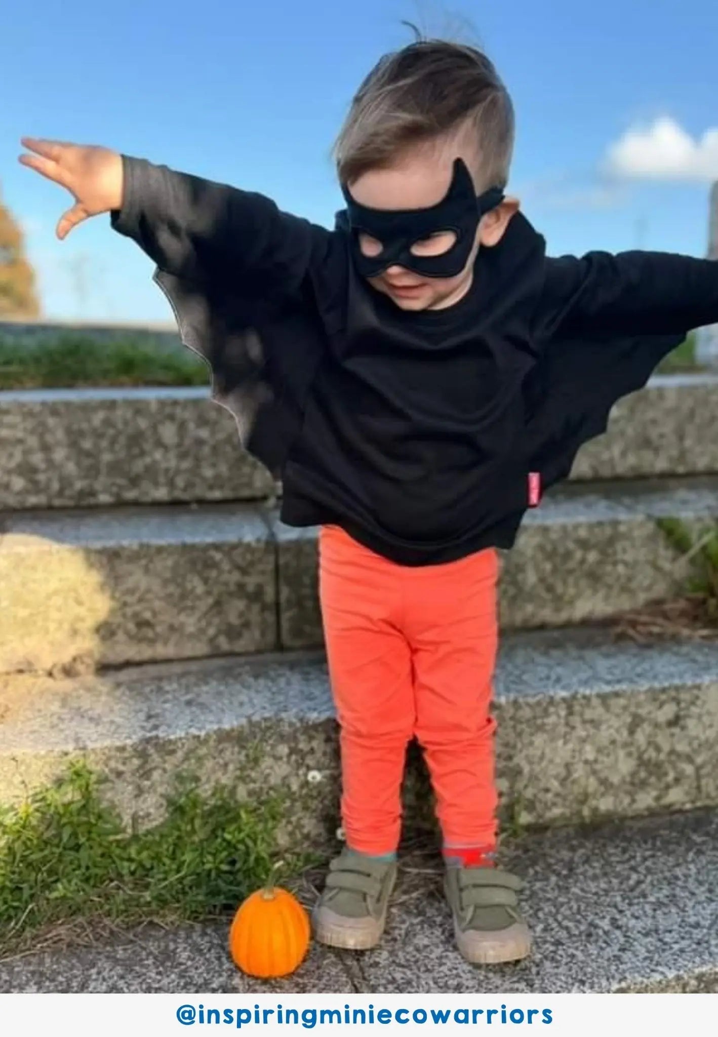 Organic Batwing T-Shirt & Mask Costume Set Toby Tiger