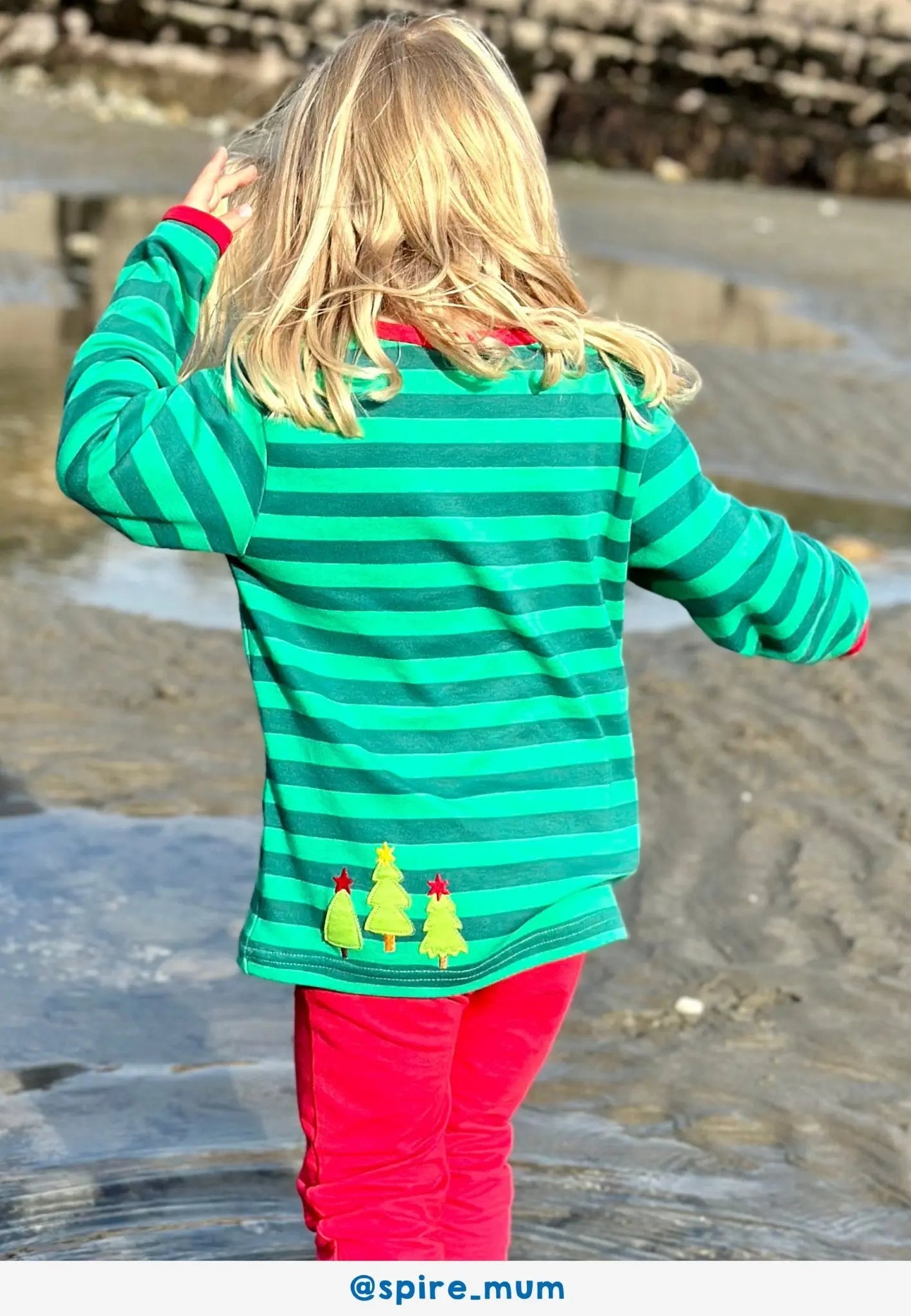 Organic Christmas Bear Applique Long-Sleeved T-Shirt Toby Tiger