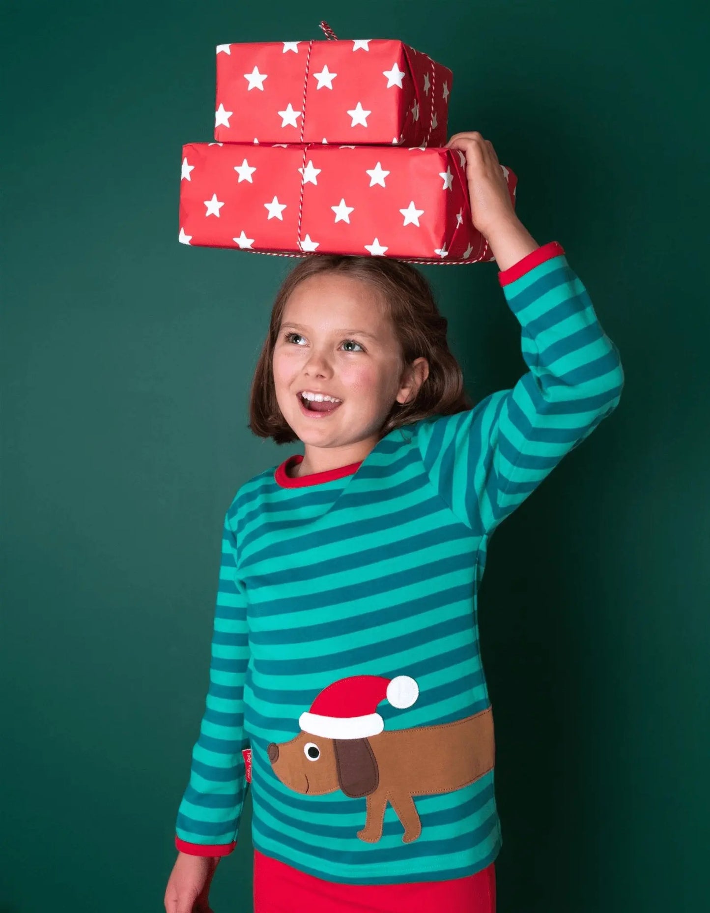 Organic Christmas Dog Applique Long-Sleeved T-Shirt Toby Tiger