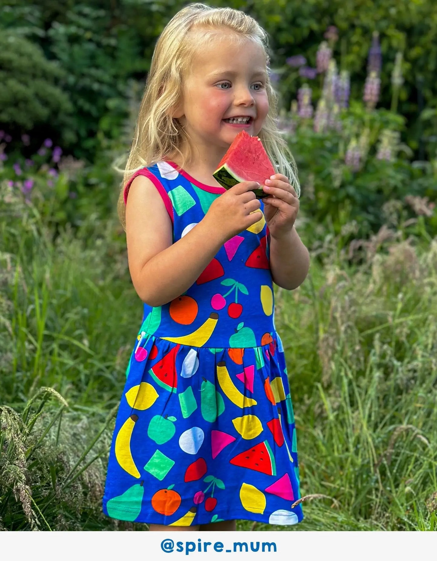 Organic Fruit Print Summer Dress Toby Tiger