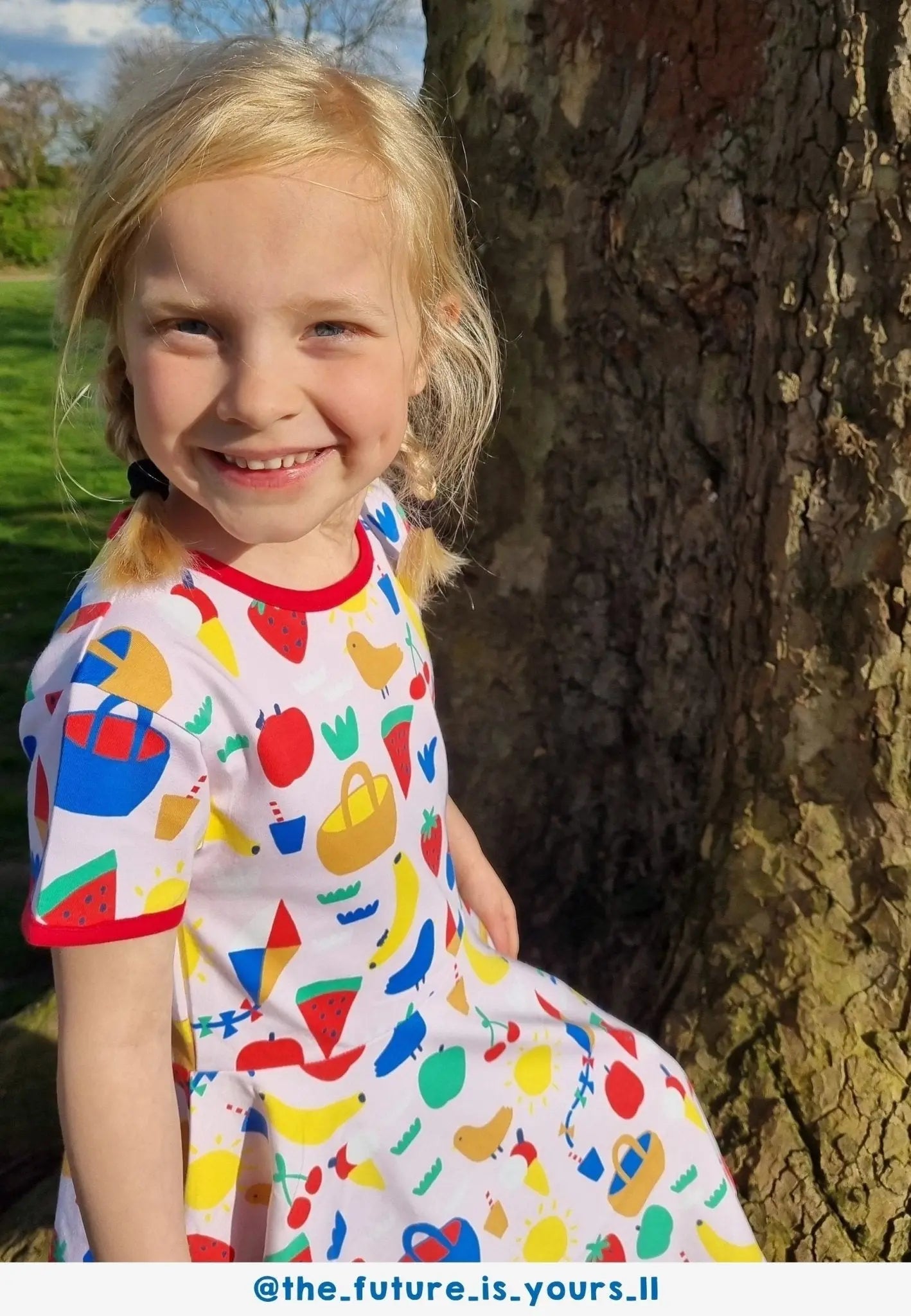 Organic Picnic Print Short Sleeved Skater Dress Toby Tiger