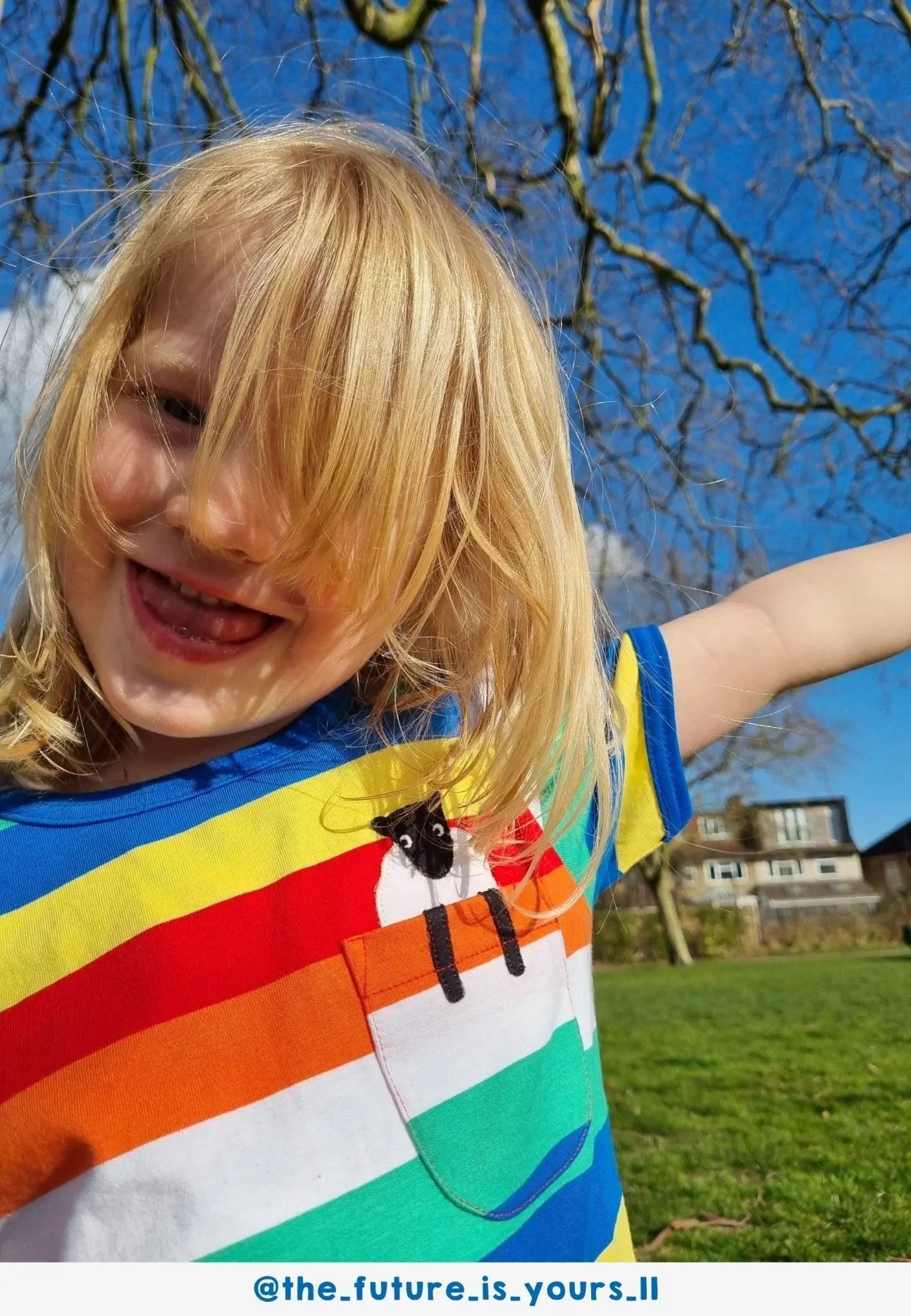 Organic Rainbow Sheep Pocket Applique Short-Sleeved T-Shirt Toby Tiger