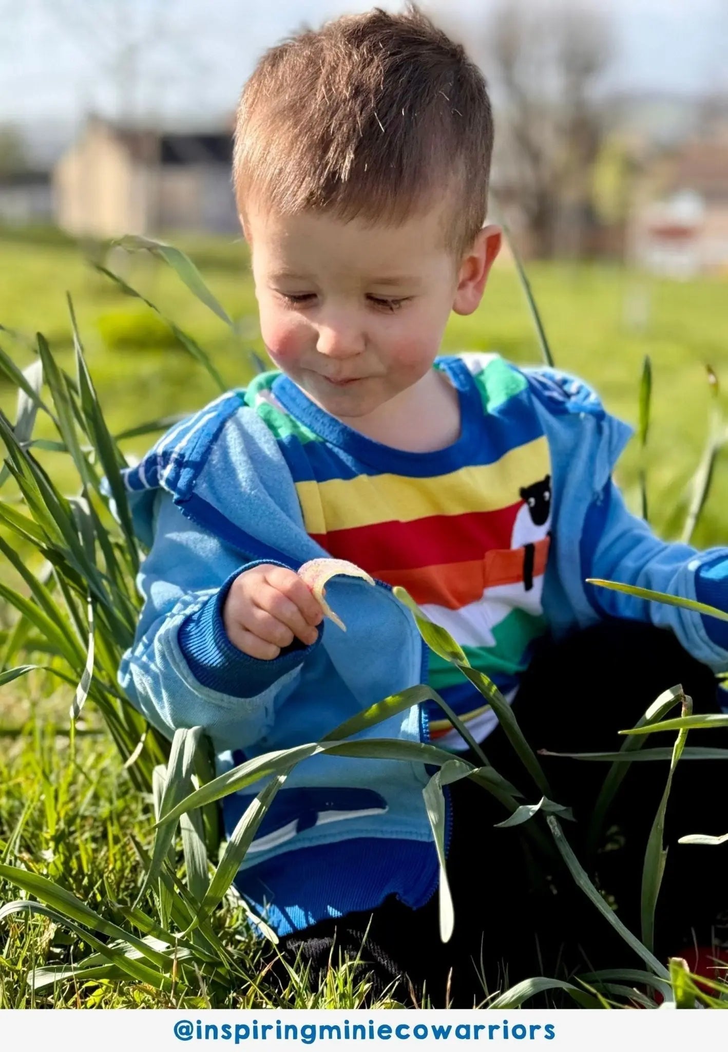Organic Rainbow Sheep Pocket Applique Short-Sleeved T-Shirt Toby Tiger