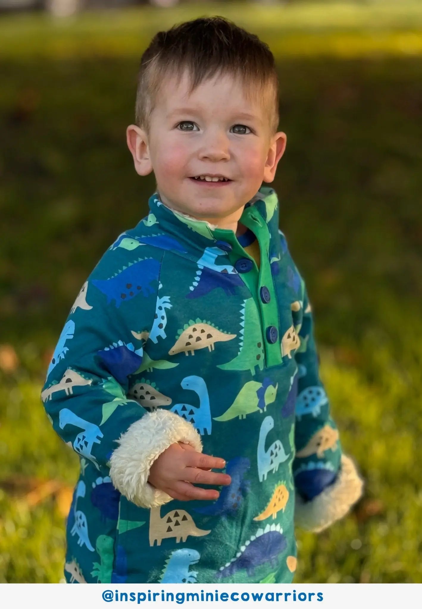 Organic Tonal Dinosaur Print Fleece Sweatshirt Toby Tiger