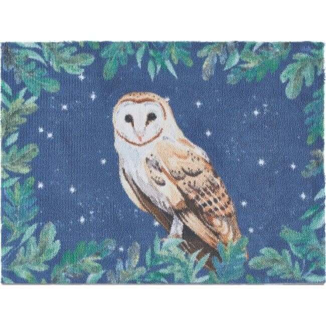 Eco-Friendly Washable Home and Animal Mat – 65X85 cm The Rugs