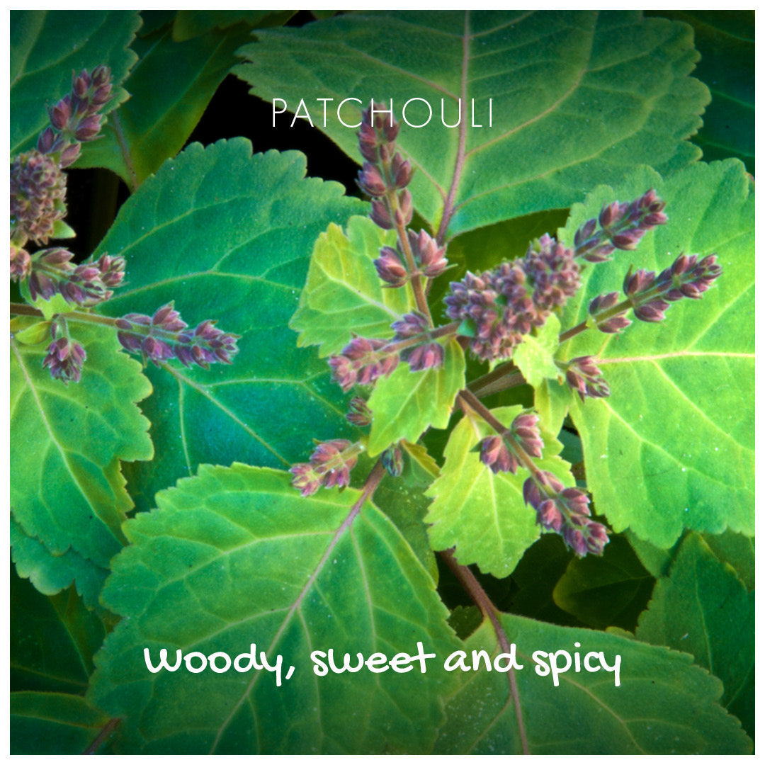 Natural Soap On A Rope - 'Woody' Patchouli & Sandalwood 125g Friendly Soap