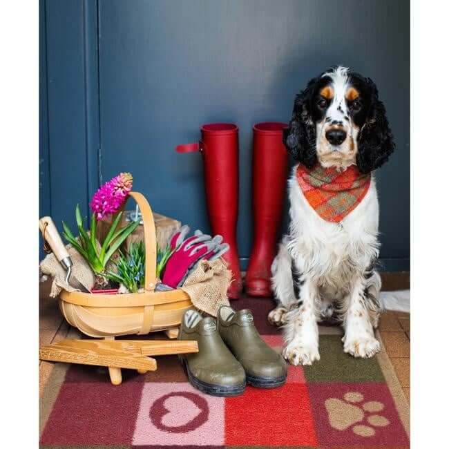 Eco-Friendly Washable Heart Pet Mat The Rugs