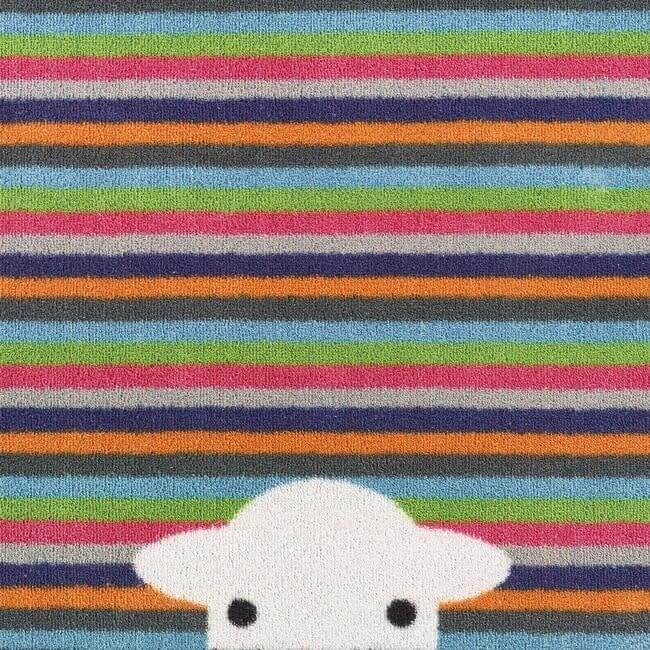 Eco-Friendly Washable Doormats The Rugs