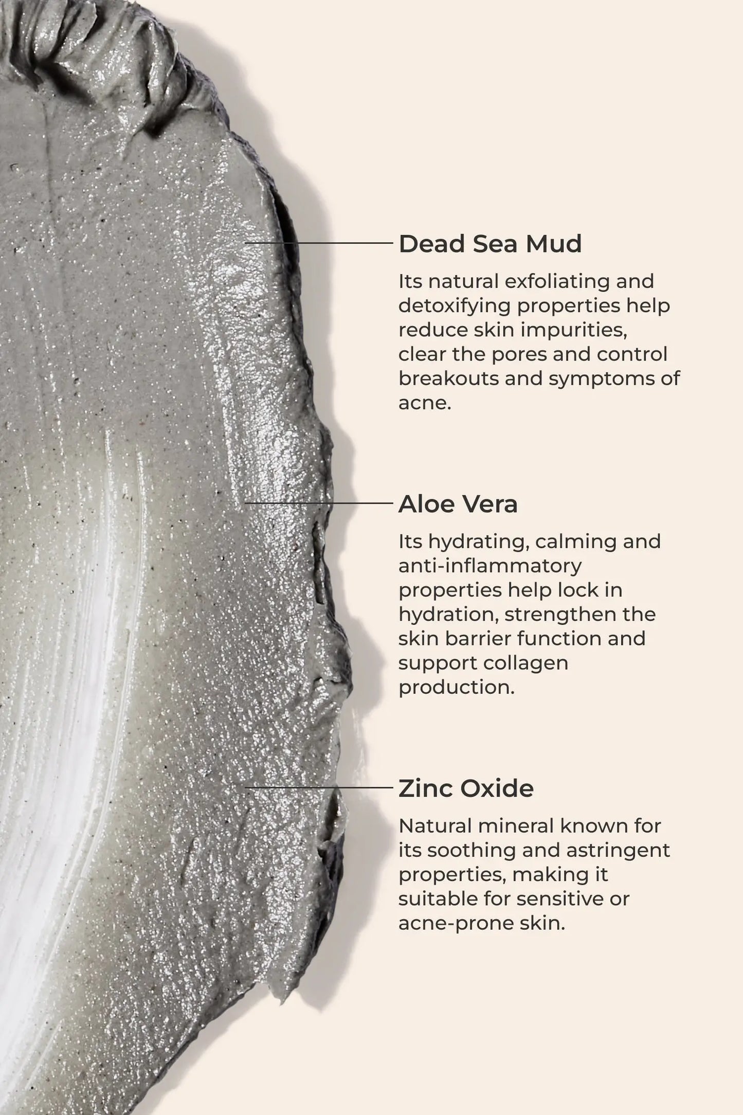 Purifying Mineral Mud Mask Dead Sea Dream