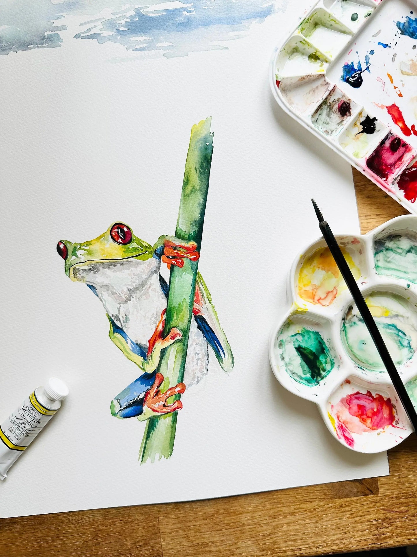 Rainforest Tropical Wildlife - Children's Curtain Fabric Katie Hipwell Design