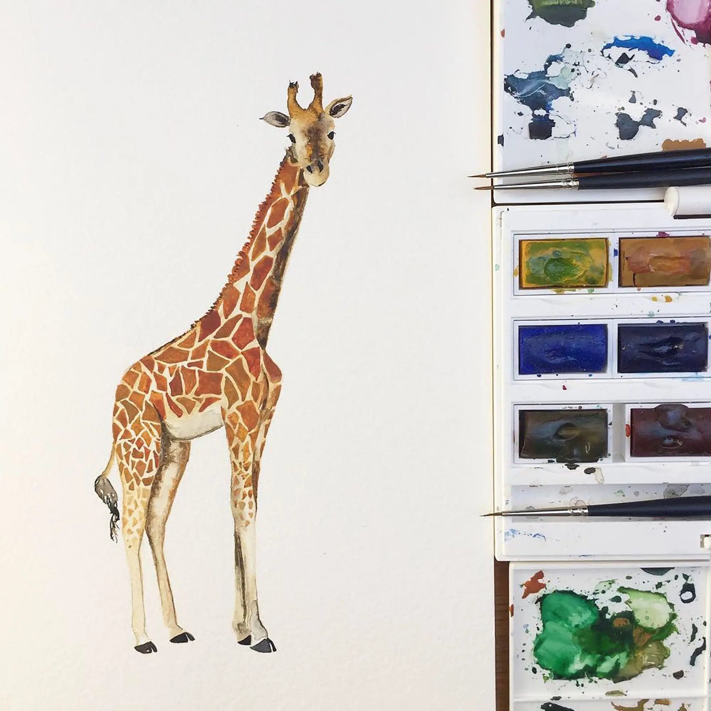 Safari Animals Hand-Designed Children's Wallpaper - Blue, Cream and Grey Colour Options Katie Hipwell Design