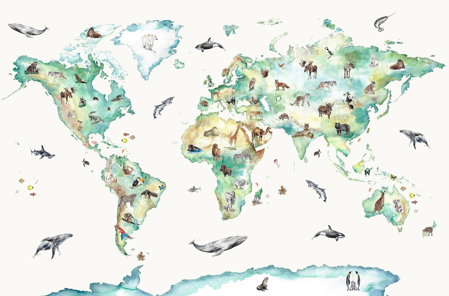 Wildlife World Map Mural Wallpaper For Children Katie Hipwell Design