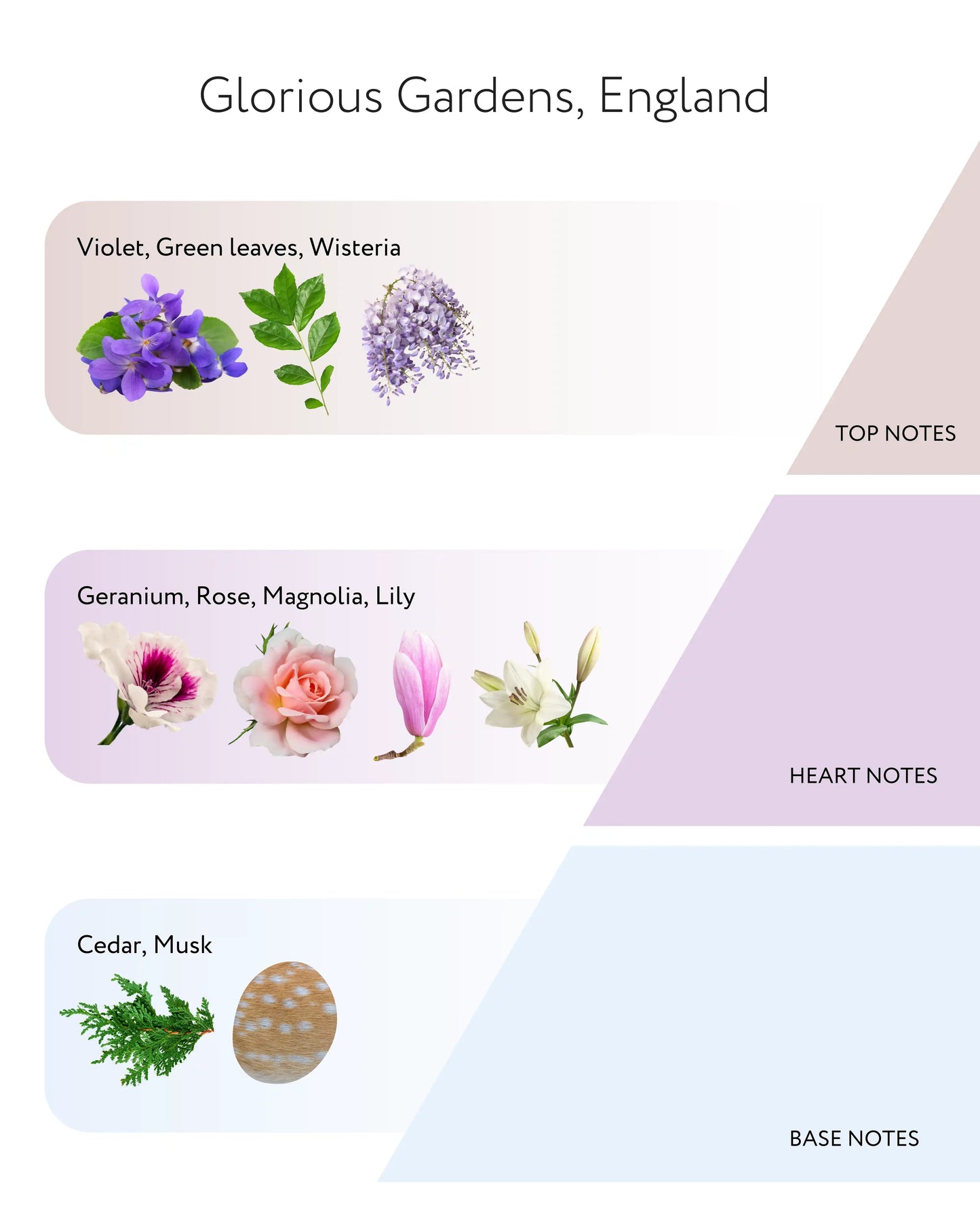 Glorious Gardens, England Diffuser, 200ml Told London