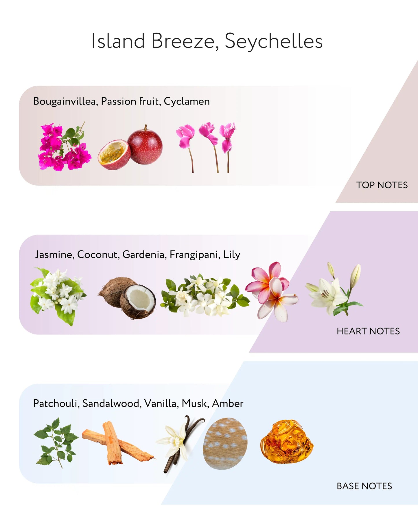 Island Breeze, Seychelles Diffuser, 200ml Told London