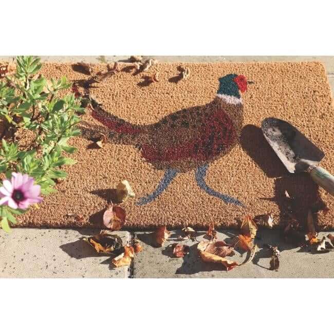 Printed Coir Doormats 45x75 cm The Rugs