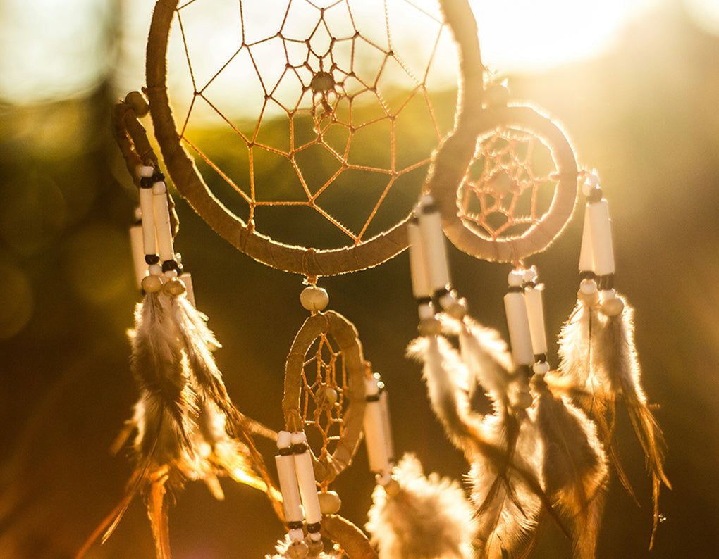 Sleep science and dreaming