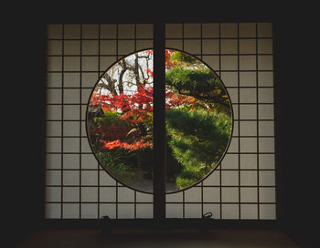 Japanese Sleep Habits