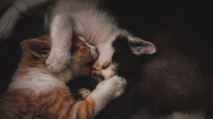Sleeping Together