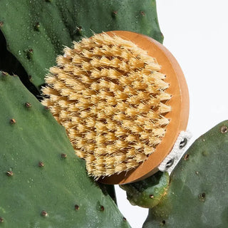 Body-Brush Myza