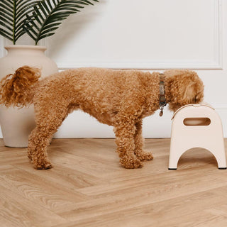 Dog Bowls