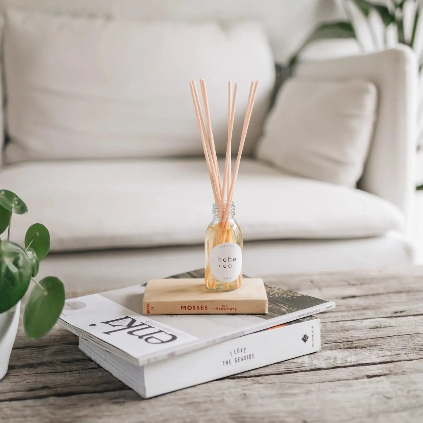 Reed-Diffusers Myza