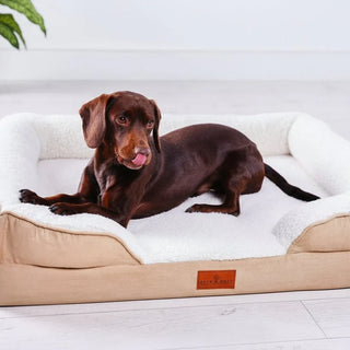 Dog-Beds Myza