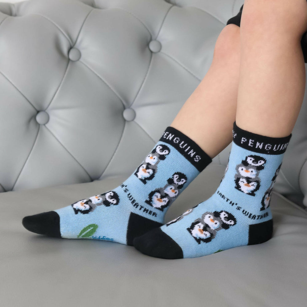 Friendly Penguins Organic Cotton Kids Socks Eco Kiddies