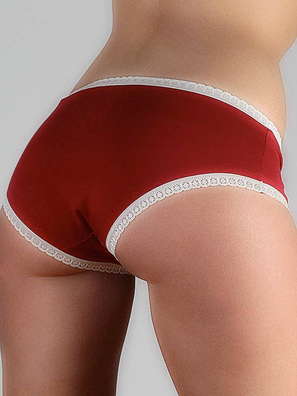 Organic Hipster Briefs with Lace Earth Wardrobe