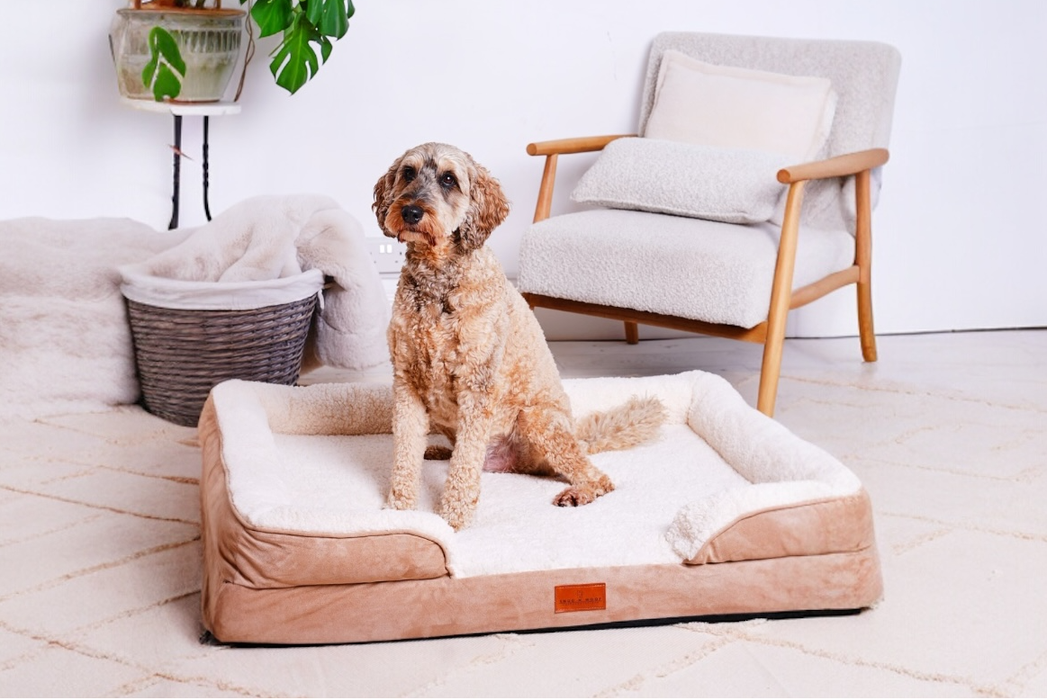 The Belgravia Orthopaedic Dog Sofa™ - Large Snug n Woof