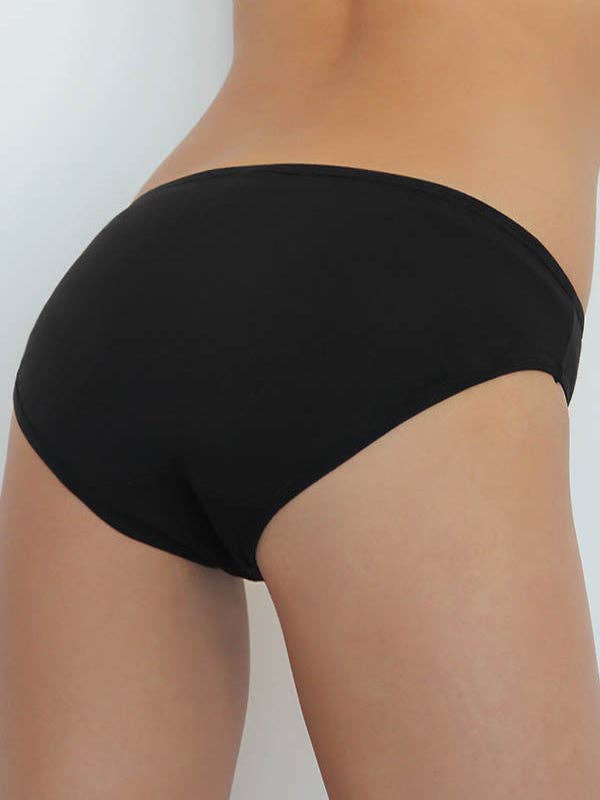 Organic Cotton Classic Briefs: Womens Earth Wardrobe