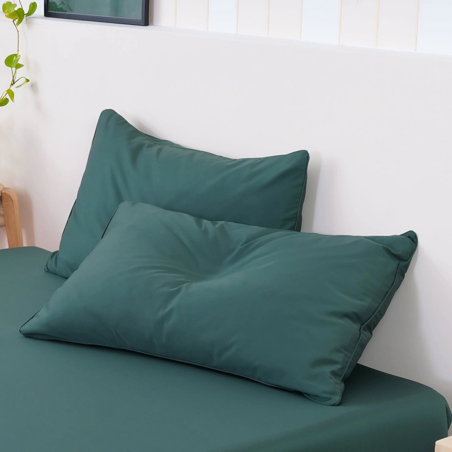 Ackly Bamboo - Royal Green Pillowcases Pair SHEET STORY