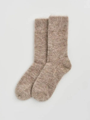 Hare Grey