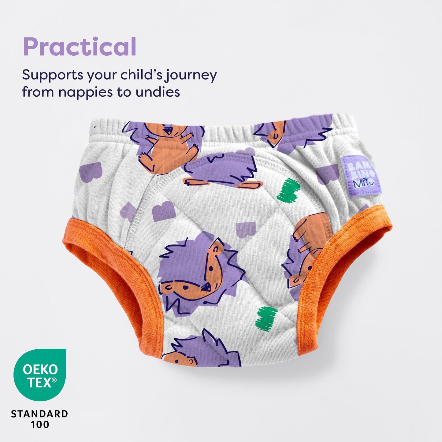 Reusable Potty Training Pants Enhanced Design in Spike Bambino Mio (UK)