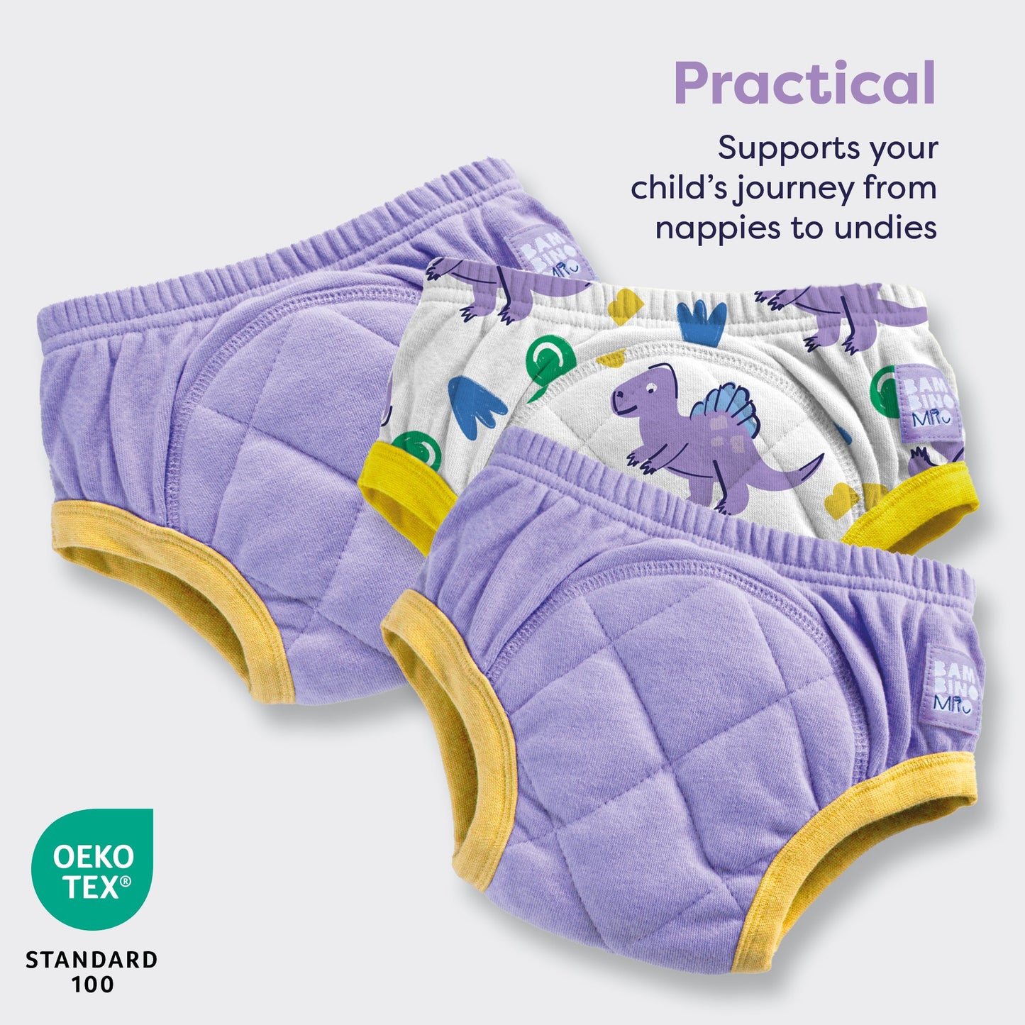 3 Pack Reusable Potty Training Pants in Purple Dinosaur - Enhanced Design Bambino Mio (UK)