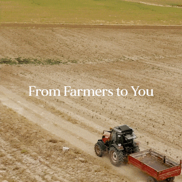 Organic Black Seed Oil 100ml Fushi Wellbeing