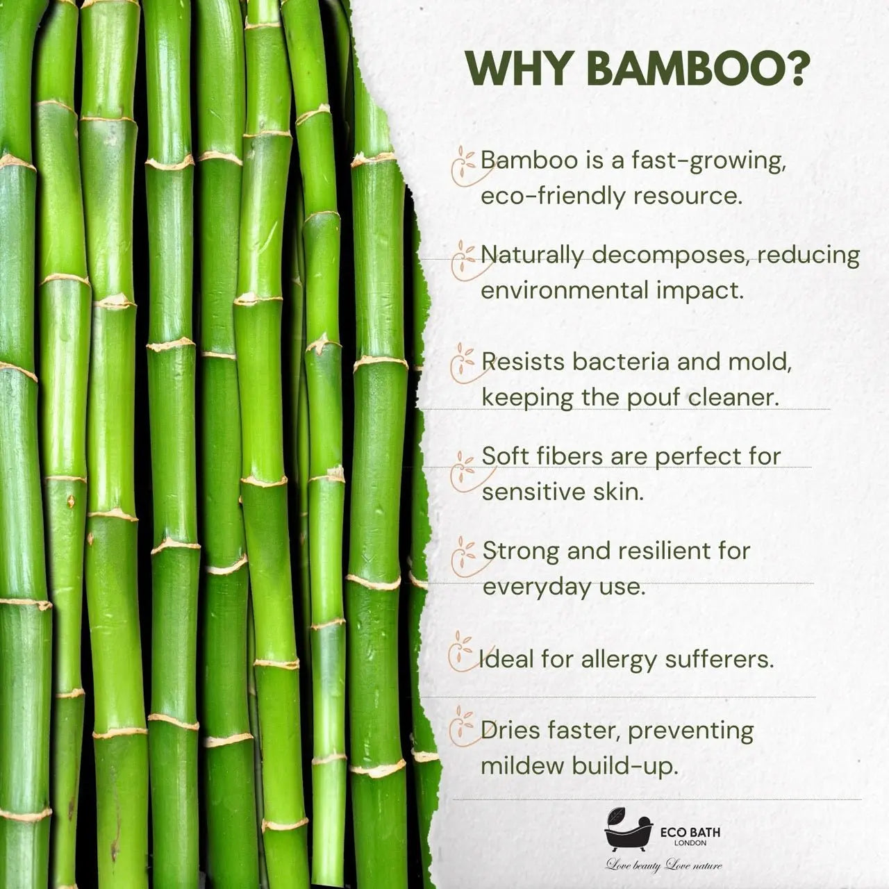 Bamboo Hair Brush with Boar Bristles - Eco-Friendly Detangling Hairbrush for All Hair Types Eco Bath London
